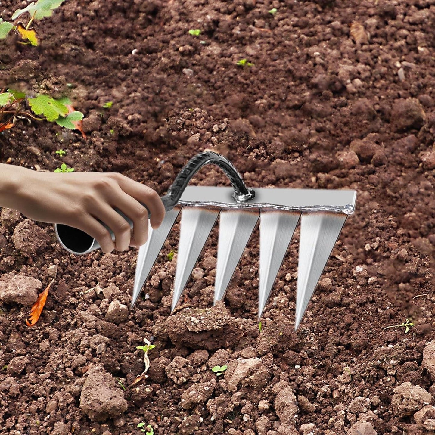 India Best 5 Teeth Carbon Steel Garden Weeding