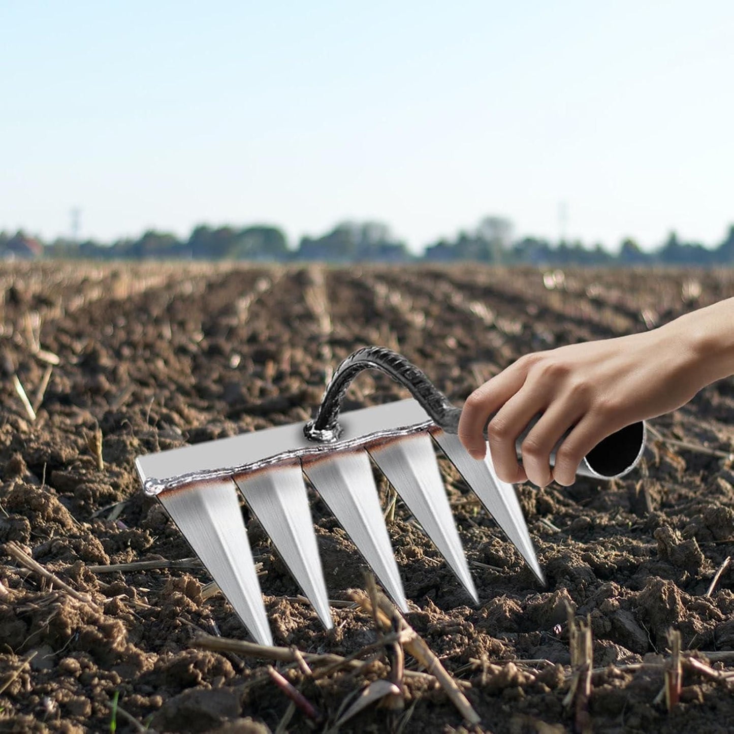 India Best 5 Teeth Carbon Steel Garden Weeding