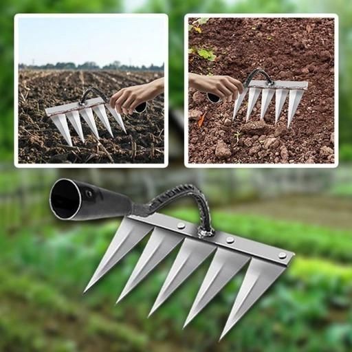 India Best 5 Teeth Carbon Steel Garden Weeding